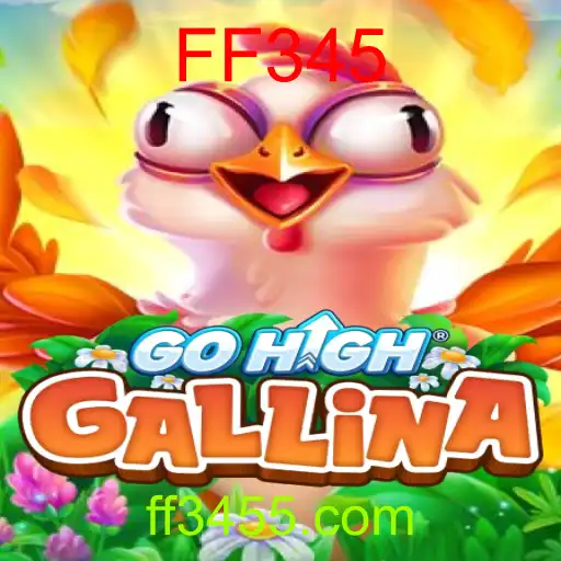 GoHighGallina